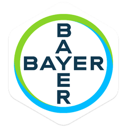 Logo 31